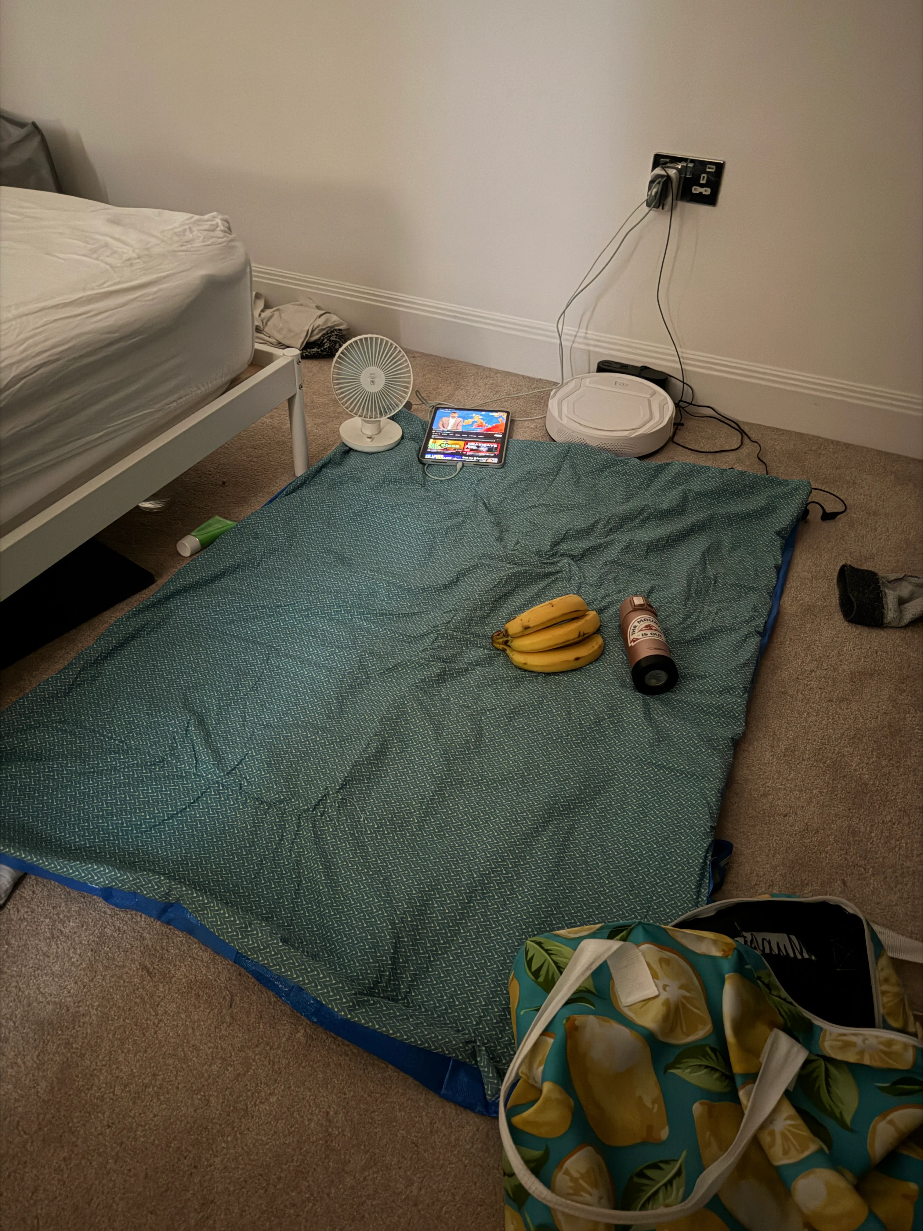 ikea picninc blanket in an indoor carpeted room with bananas and a fan