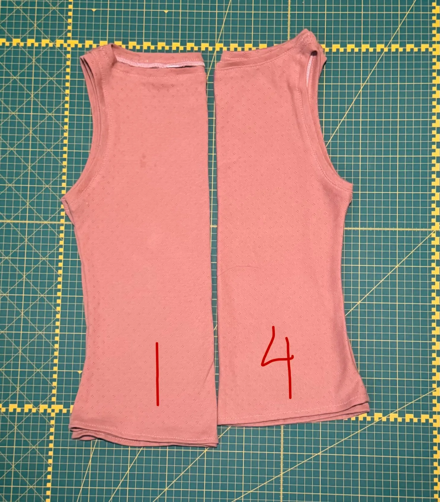 top view of v1 vs. v4